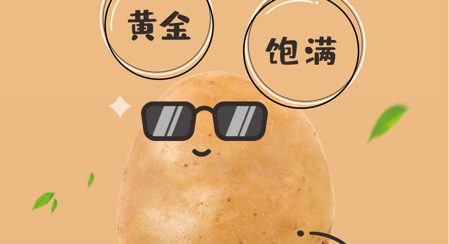 波浪薯批發(fā) 波浪薯批發(fā)